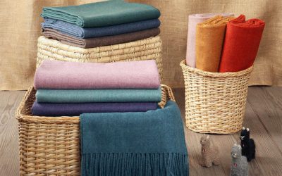 Alpaca Warehouse