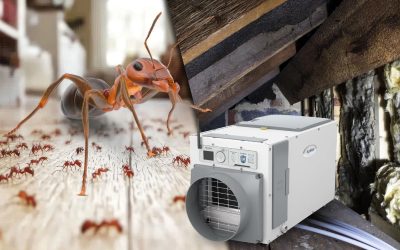 Priority Pest Crawlspace / Structural / Moisture Experts